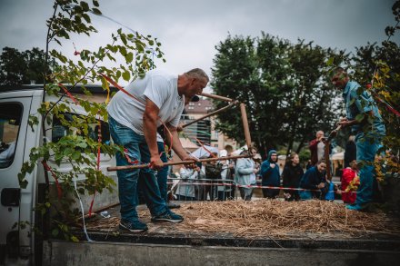 Dożynki 2025 fot. Daniel Franek